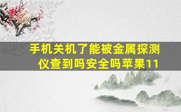 手机关机了能被金属探测仪查到吗安全吗苹果11