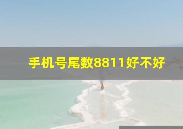 手机号尾数8811好不好