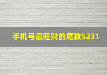 手机号最旺财的尾数5231