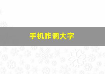 手机咋调大字