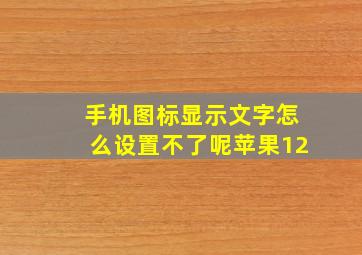 手机图标显示文字怎么设置不了呢苹果12