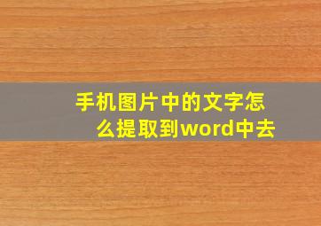 手机图片中的文字怎么提取到word中去