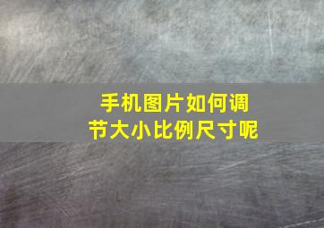 手机图片如何调节大小比例尺寸呢