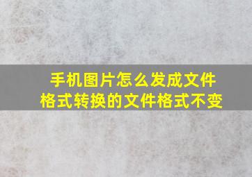 手机图片怎么发成文件格式转换的文件格式不变