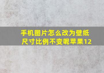 手机图片怎么改为壁纸尺寸比例不变呢苹果12