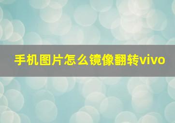 手机图片怎么镜像翻转vivo