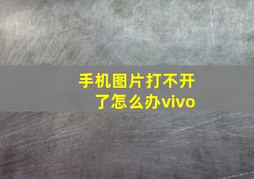 手机图片打不开了怎么办vivo