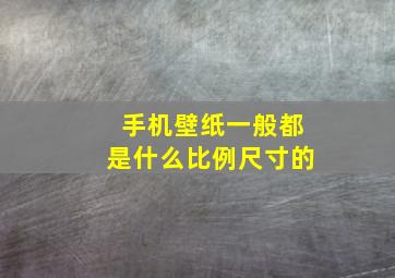 手机壁纸一般都是什么比例尺寸的