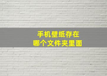 手机壁纸存在哪个文件夹里面