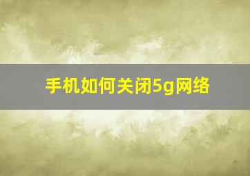 手机如何关闭5g网络