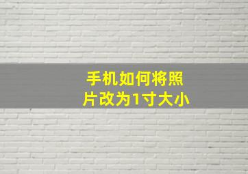 手机如何将照片改为1寸大小