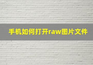 手机如何打开raw图片文件