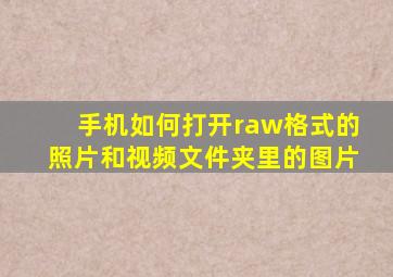 手机如何打开raw格式的照片和视频文件夹里的图片