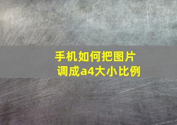 手机如何把图片调成a4大小比例