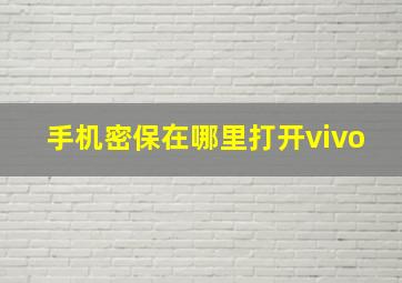 手机密保在哪里打开vivo