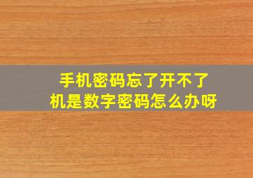 手机密码忘了开不了机是数字密码怎么办呀