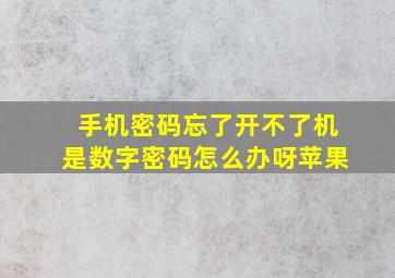 手机密码忘了开不了机是数字密码怎么办呀苹果