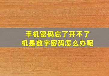 手机密码忘了开不了机是数字密码怎么办呢