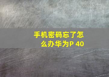 手机密码忘了怎么办华为P 40