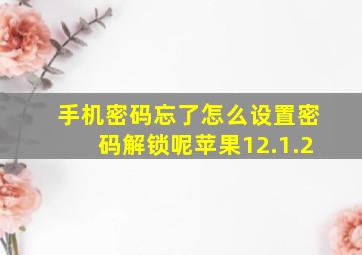 手机密码忘了怎么设置密码解锁呢苹果12.1.2