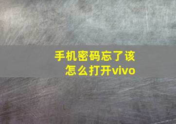 手机密码忘了该怎么打开vivo