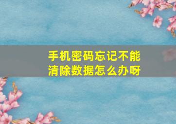 手机密码忘记不能清除数据怎么办呀