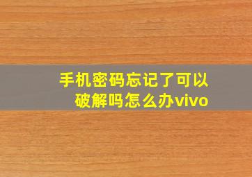 手机密码忘记了可以破解吗怎么办vivo