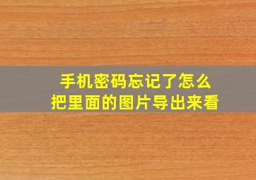 手机密码忘记了怎么把里面的图片导出来看