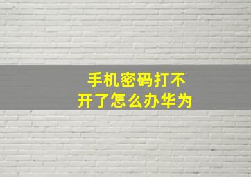 手机密码打不开了怎么办华为