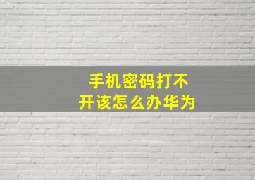 手机密码打不开该怎么办华为