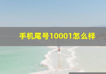 手机尾号10001怎么样