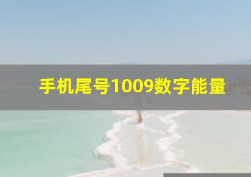 手机尾号1009数字能量