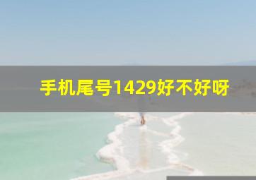 手机尾号1429好不好呀