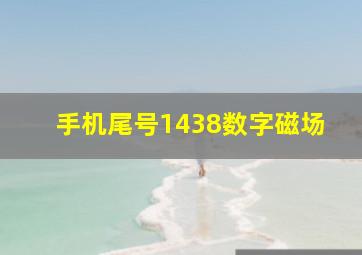 手机尾号1438数字磁场