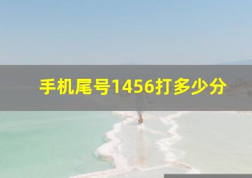 手机尾号1456打多少分