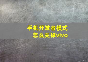 手机开发者模式怎么关掉vivo