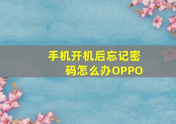 手机开机后忘记密码怎么办OPPO