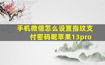 手机微信怎么设置指纹支付密码呢苹果13pro