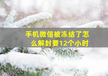 手机微信被冻结了怎么解封要12个小时