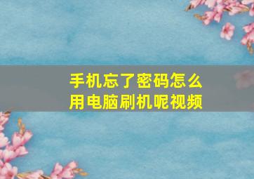 手机忘了密码怎么用电脑刷机呢视频