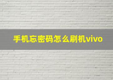 手机忘密码怎么刷机vivo