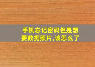 手机忘记密码但是想要数据照片,该怎么了