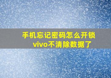 手机忘记密码怎么开锁vivo不清除数据了