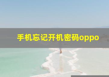 手机忘记开机密码oppo