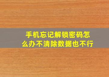 手机忘记解锁密码怎么办不清除数据也不行