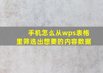 手机怎么从wps表格里筛选出想要的内容数据