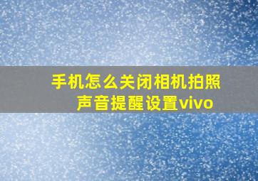 手机怎么关闭相机拍照声音提醒设置vivo