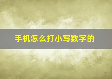 手机怎么打小写数字的