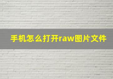 手机怎么打开raw图片文件