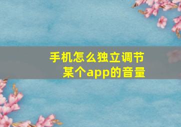 手机怎么独立调节某个app的音量